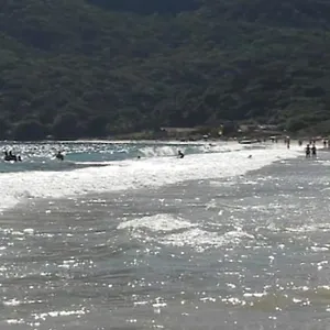 https://portal-do-santinho.santa-catarina-brasil.com